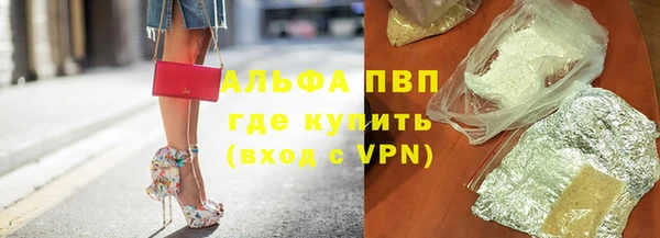 PSILOCYBIN Козельск