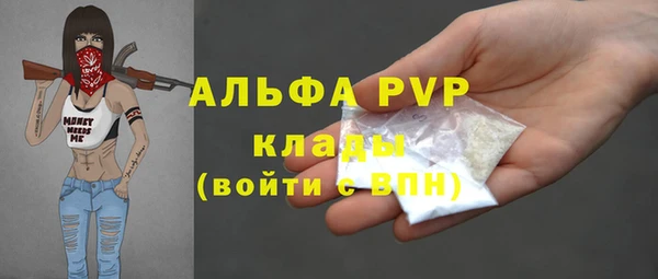 PSILOCYBIN Козельск