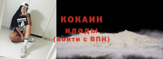 PSILOCYBIN Козельск