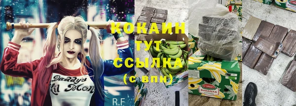 PSILOCYBIN Козельск