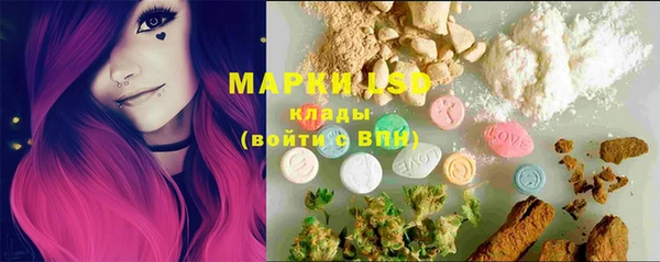 PSILOCYBIN Козельск