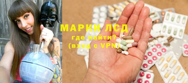 PSILOCYBIN Козельск