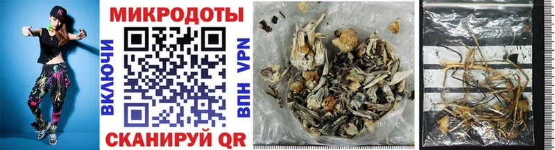 Псилоцибиновые грибы Magic Shrooms  Купить где  Новошахтинск 